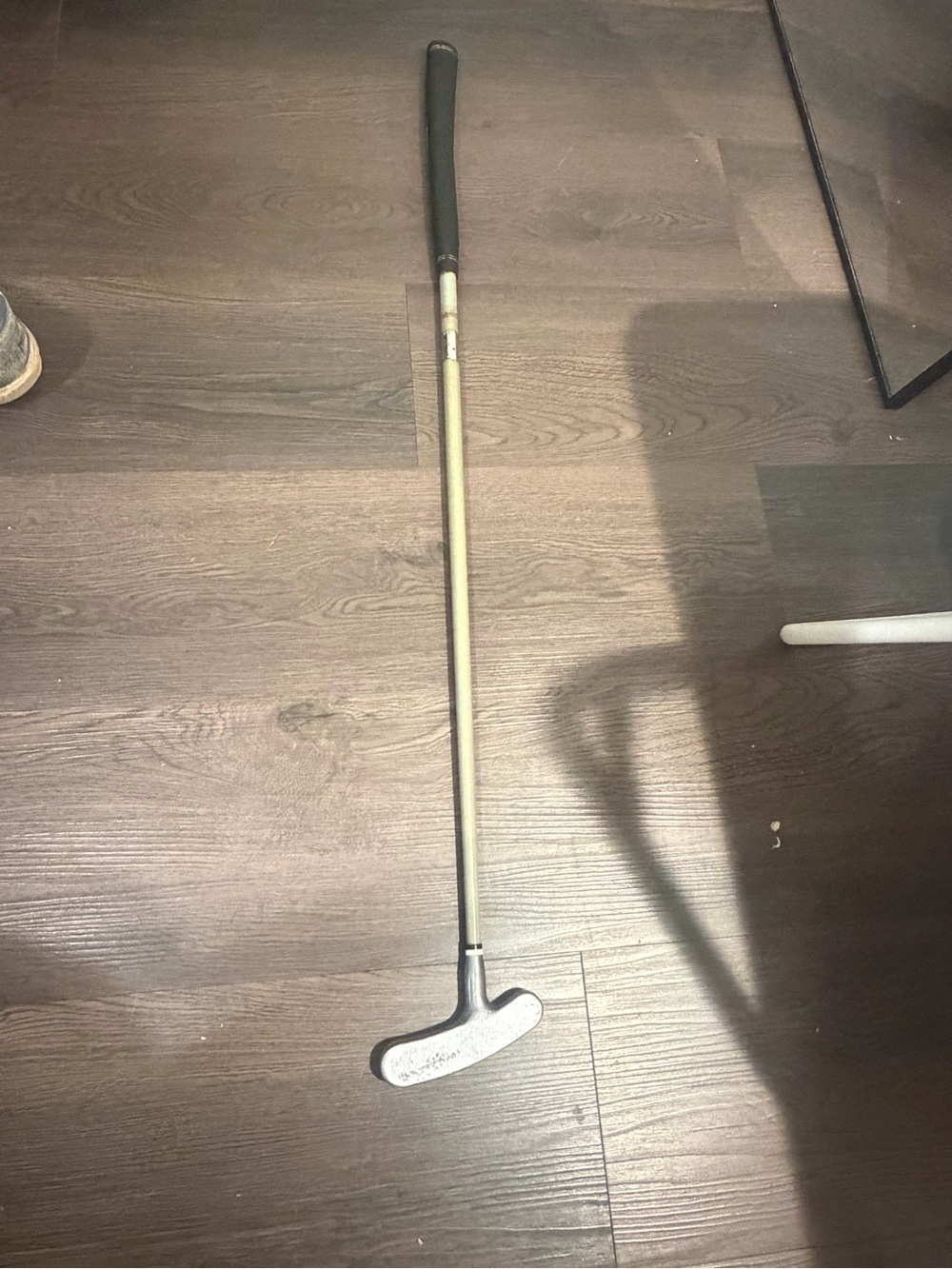 Silver Mallet-Style Putter with Black Grip